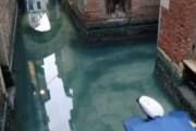 【画像】活動制限中のイタリアのベネチア運河、キレイになってお魚とイルカが現れる