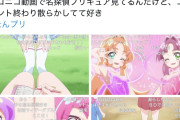 【画像】X民女性「これを見て。やっぱり女児アニメのイベントには成人男性禁止して欲しい」3万いいねwwwwwwwwww