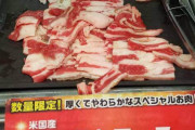 【画像】すたみな太郎（90分2000円で食べ放題）の肉がこちらｗｗｗｗ