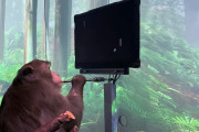 【すげえ】サルの脳にチップを埋め込み思考だけでゲームをさせることに成功！