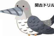 【高知】「なめんな。閑古鳥飼ってんだよこっちは」ヒマすぎて公式ツイッターがすぐに『いいね』する桂浜水族館　「閑古ドリル」を作る