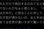 フェミ女さん「男はちょっとチー牛煽りされたくらいで発狂しすぎなんだよ！！」