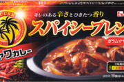 ジャワカレースパイシーブレンドっていくらでも米食えそう