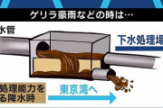 【悲報】トライアスロン、新型コロナウイルス水のなかで開催へ！！　下水からコロナ検出・・・