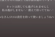 元乃木坂46堀未央奈　ツイッターのアンチに警告「開示請求進めています」「私は逃がしません　震えて待っててね」