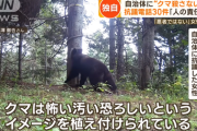 【動物愛護】「クマは悪者じゃない、人が悪いの！」 クマ駆除に抗議電話しまくり女性、インタビュー