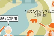 環境省、市街地クマ銃猟指針公表　「安全前提」発砲手順示す