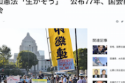 【サヨク寝言】「平和憲法生かそう」「9条は無力ではない」国会前で集会　政府のガザ情勢への対応など批判