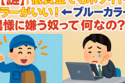 【謎】「低賃金でもホワイトカラーがいい！」←ブルーカラーを異様に嫌う奴って何なの？