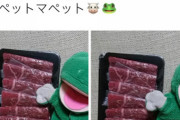 【悲報】お笑い芸人パペットマペットさん、終わる