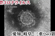 【悲報】 コロナウイルスさん、旅館を破綻させる