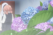 【衝撃画像】「母の日のアジサイの鉢植えを庭に植えてみました」　→　成長しすぎた結果、想像できない姿に変わり果ててしまうｗｗｗｗなにこれｗｗｗｗ