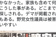 【悲報】河井元法相、探偵を雇って女野党議員をストーキングしていた