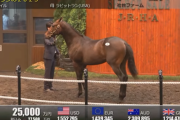 【セレクトセール2024】ラビットランの2023（父コントレイル）2億5000万円で落札　他