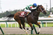 【競馬予想】[3]第52回高松宮記念(GⅠ) /2022
