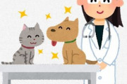 獣医師「ペットの命には【地域格差】がある」