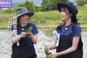 【乃木坂46】『田村真佑です♡』選手権開催www