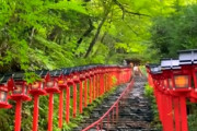 海外「神聖で美しい…いつかここに行ってみたいです」京都にある貴船神社（海外の反応）