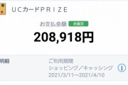 月収58万の特に贅沢をしていない月のクレジットカード使用額がこちらｗｗｗ
