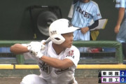 【動画】高校野球に「煽り全振りの選手」がいると話題に！野球のイヤらしさの極地とは