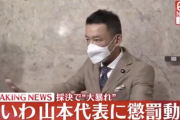 【悲報】山本太郎氏に懲罰動議。自民はまだしも野党からもって本当にこの国は終わったんだなって思うね…
