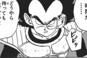 【ドラゴンボール】ベジータ「穏やかだったさ…穏やかで純粋だった、ただし純粋な悪だがな」