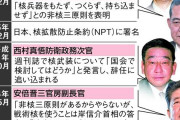 中国人「日本が核武装したら、まずどこに撃つだろうか？」