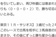 デイリー｢危険な人気馬｣被害者の会
