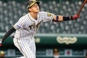 濃密で残酷な２年…戦力外阪神奥山皓太「なかなかない」経験糧に第２の人生