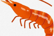 エビって見た目普通にキモくね？あれが陸にいてカサカサ動いてる生き物だったら食おうと思わないよな