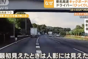 東名高速で電動キックボードが爆走「車がガス欠で停止したので、近くのサービスエリアに向かうため電動キックボードを使った」