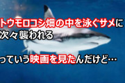 トウモロコシ畑の中を泳ぐサメに次々襲われるっていう映画を見たんだけど…