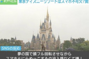 【エンタメ】スマホが不可欠なディズニーリゾートに賛否「没入感なくて嫌！」