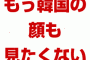 韓国政府パニック！　北朝鮮「もう顔も見たくない。文書のやり取りだけでいい」　終わったな…