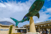 【悲報】 美ら海水族館、いくらなんでも那覇から遠すぎる