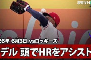 エ軍アデルのヘディング本塁打アシストにMLBファン騒然！←「これがエンゼルス野球だ」（海外の反応）