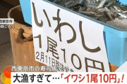大漁すぎて、『イワシ1尾10円』の大セールが行われる！