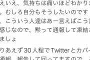 【画像】バチャ豚さん、自分をホロライブ関係の業者だと思い込んでしまうｗｗｗｗｗｗ