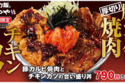 かつやの「豚カルビ焼肉とチキンカツの合い盛り丼」、マジで美味そうすぎるwwwwwwwwwww