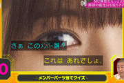 【櫻坂46】みんな分かった？意外と難しいメンバーパーツ当てクイズ！