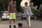 これだから犬は最高なんだ。飼い主を追いかけようとくるくる回ってしまう子犬。海外の反応