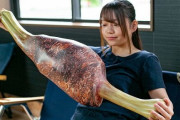 『モンスターハンターライズ』の「こんがり肉」「生肉」を再現した多目的まくらが予約開始！