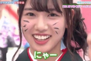 【日向坂46】猫飼ったんやが評価してくれ。