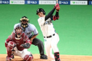 “ポスト中田”巡り日ハム野村1試合2発　佐藤は初打席初安打