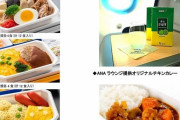 数分で売り切れ、機内食のネット販売が人気…ANAの新たな商機！