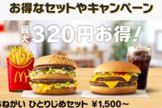 マック(マクド)のひとりじめセット頼んだ結果ｗｗｗｗｗｗｗｗｗｗ