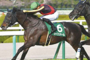 第68回 毎日杯（GIII）中団追走シャフリヤール（川田）直線馬群を割って追い比べを制した！コースRでクラシック戦線に名乗り