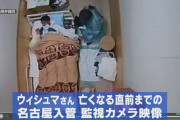 ウィシュマさん、死亡直前ビデオ公開……「病院行きたい」訴えるも職員は応じず、徐々に衰弱