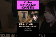 【悲報】たぬかな、また炎上「VTuber見てるやつって障害者しかおらん」