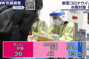 【世論調査】新型コロナ：政府の対応「評価する」４９％　中韓人を入国拒否「評価する」７７％